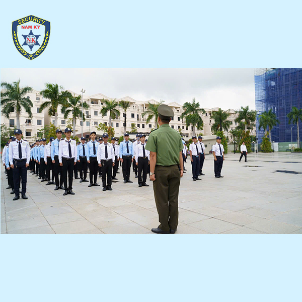 Tự tuyển giúp bạn thiết kế quy trình tuyển chọn sao cho phù hợp, đồng thời kiểm tra kỹ năng và thái độ của từng ứng viên một cách trực tiếp